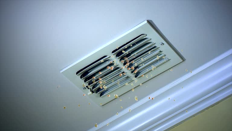 Best Commercial Air Duct Cleaning  in Bullhead City, AZ