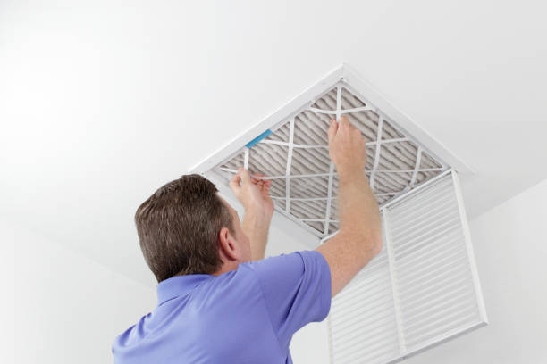 Best Home Air Vent Cleaning  in Bullhead City, AZ